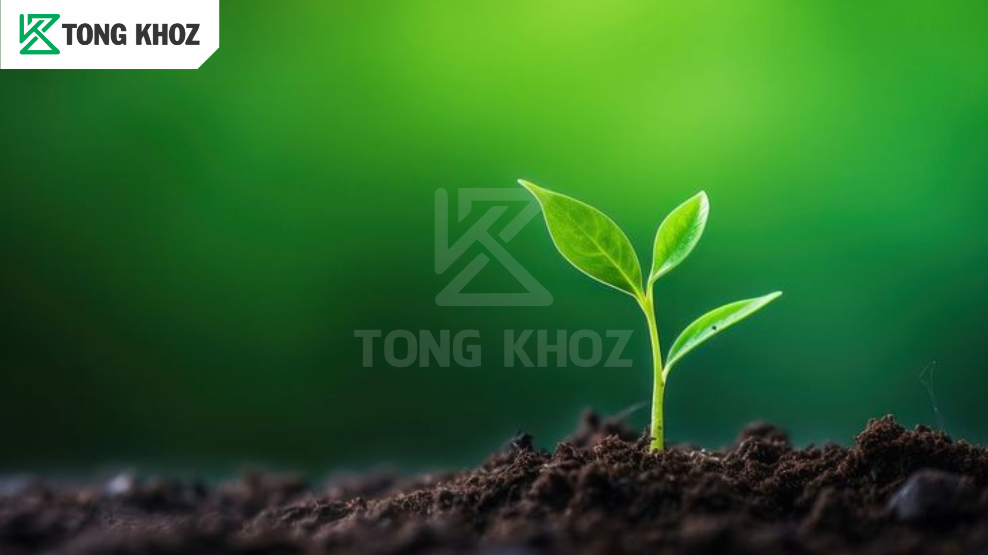 Thành phần phân bón ROOTER-Z