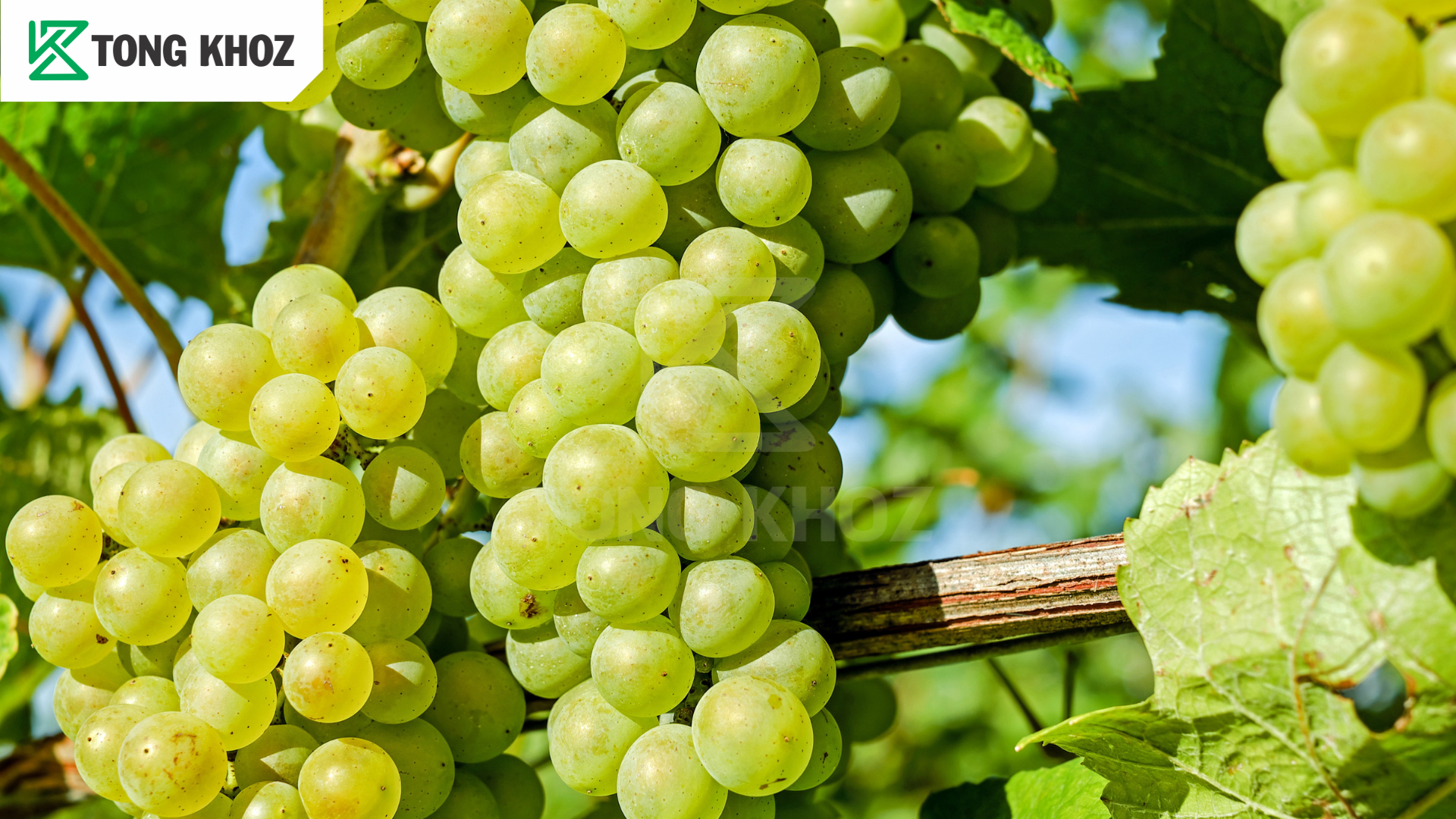 Chủ động phòng từ