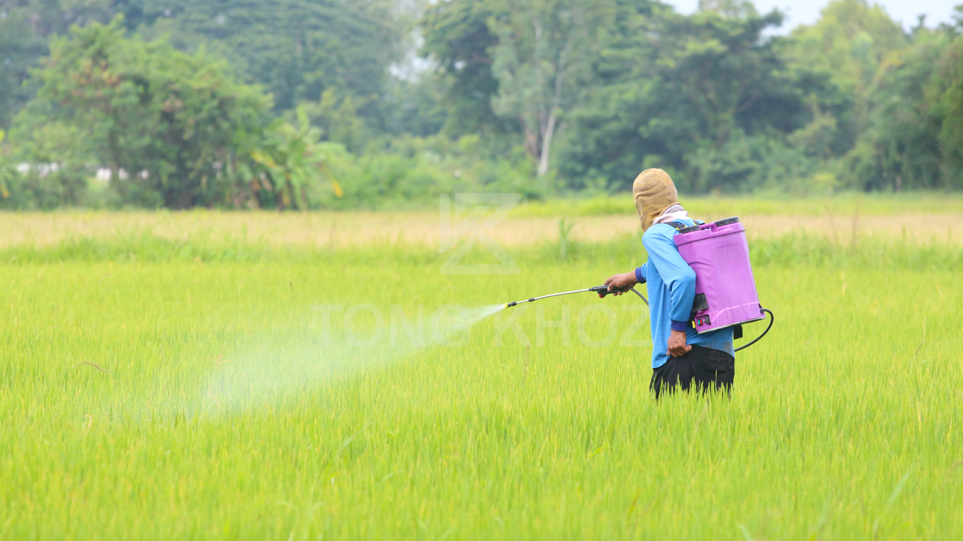 Câu hỏi thường gặp