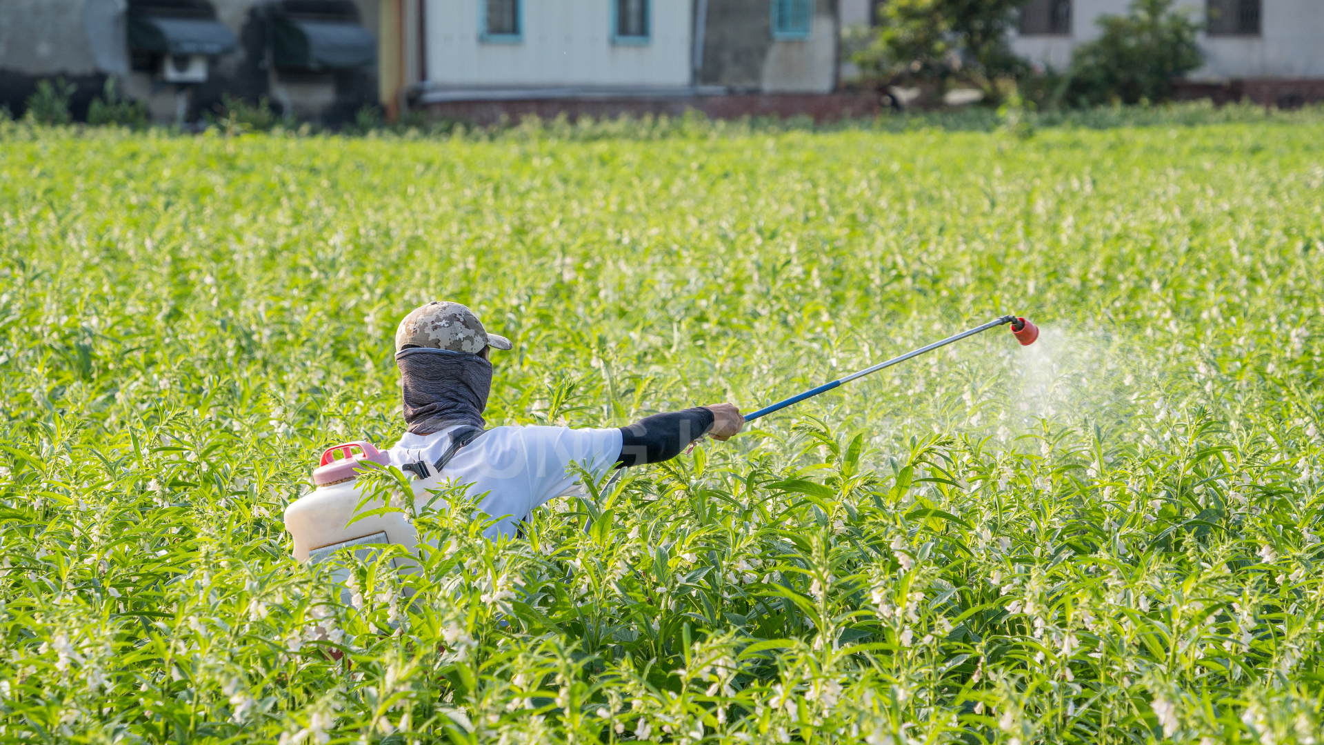 Câu hỏi thường gặp