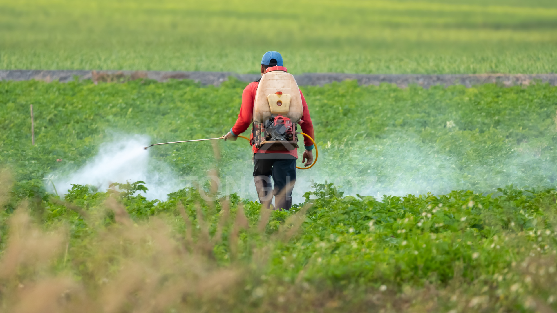 Câu hỏi thường gặp