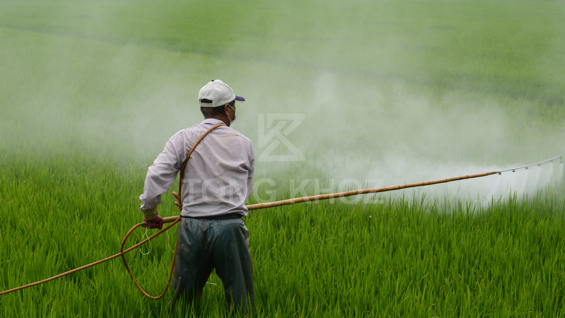 Câu hỏi thường gặp