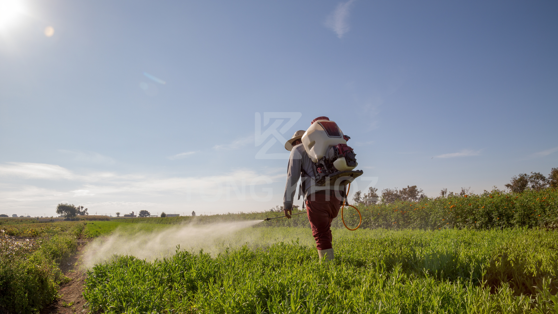 Câu hỏi thường gặp