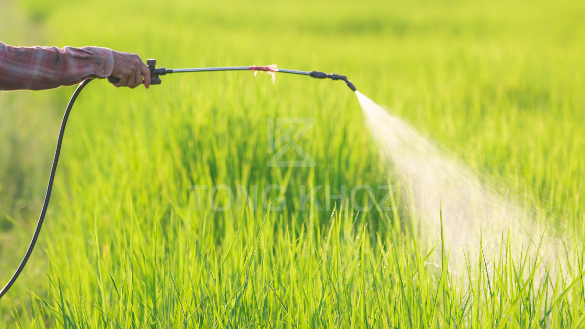 Hướng dẫn sử dụng