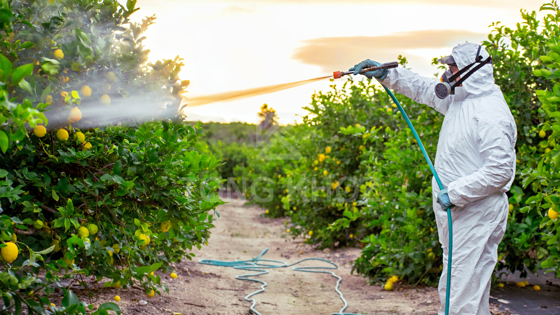 Lưu ý khi sử dụng