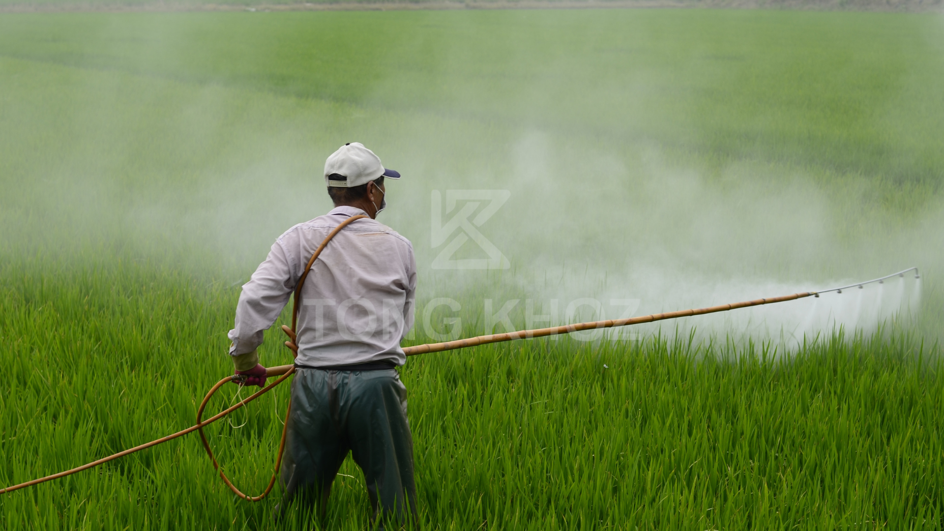 Lưu ý khi sử dụng