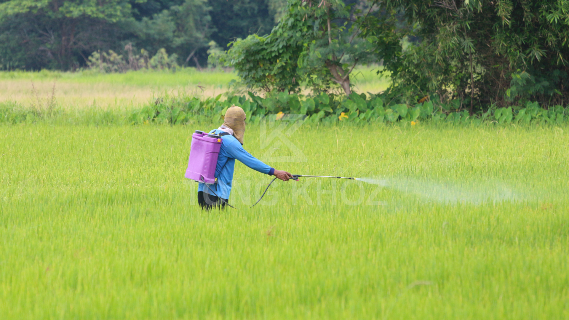 Lưu ý khi sử dụng