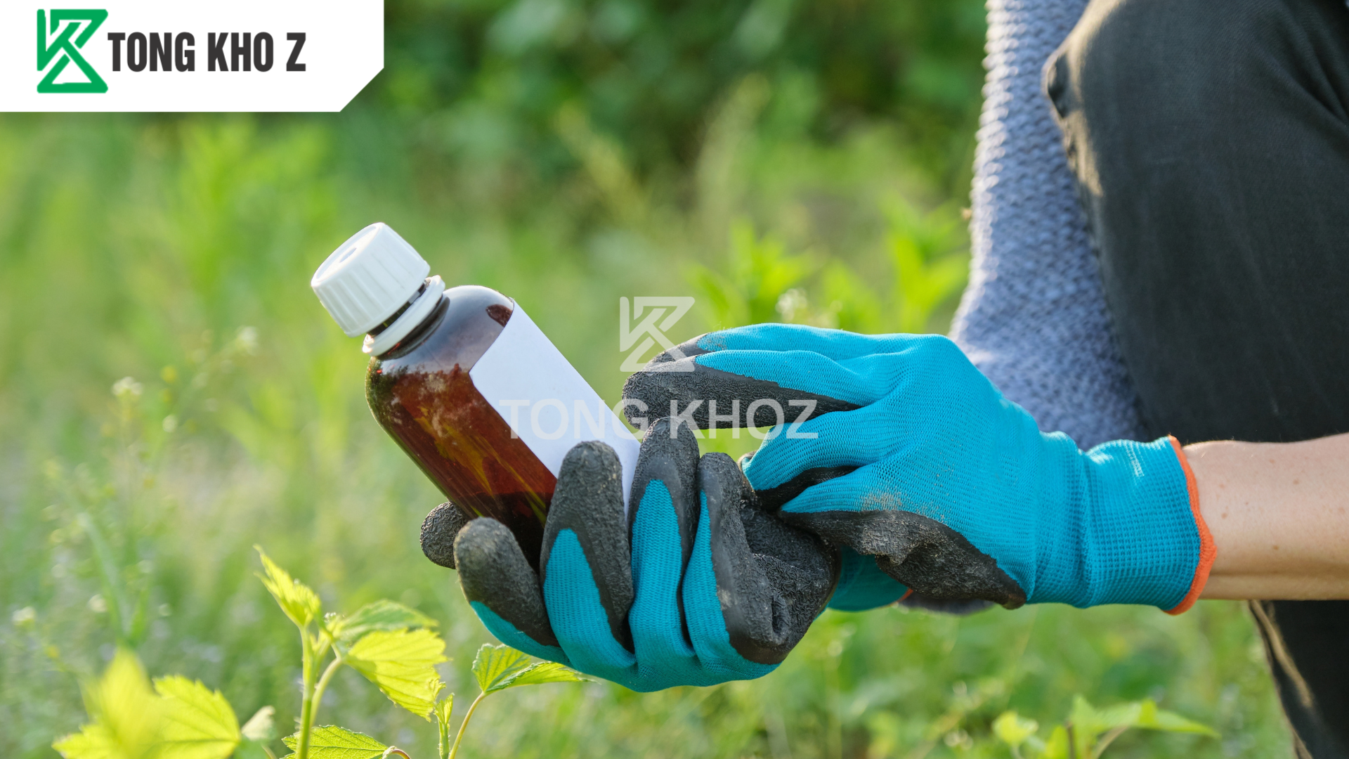 Câu hỏi thường gặp