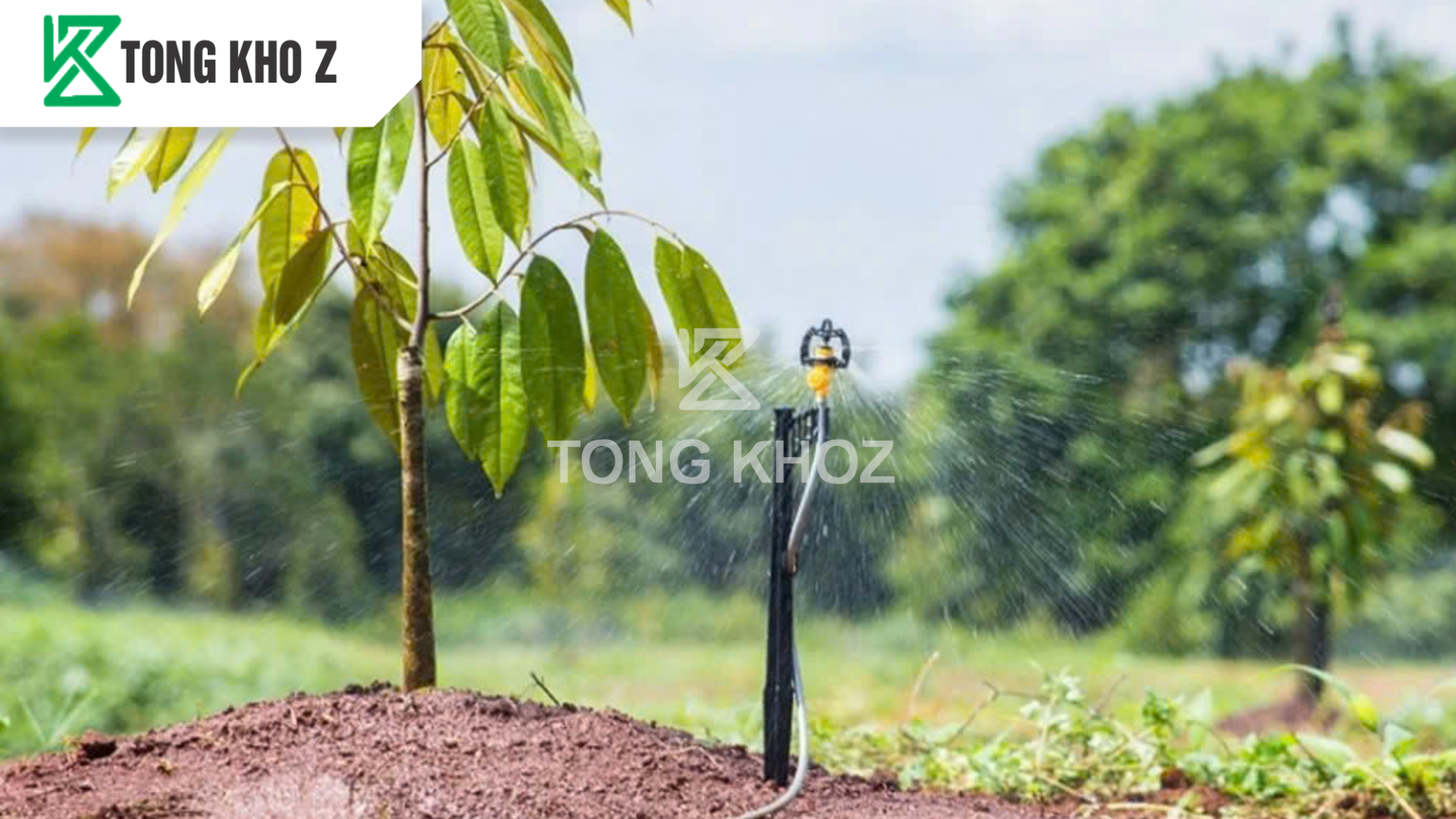 Câu hỏi thường gặp 