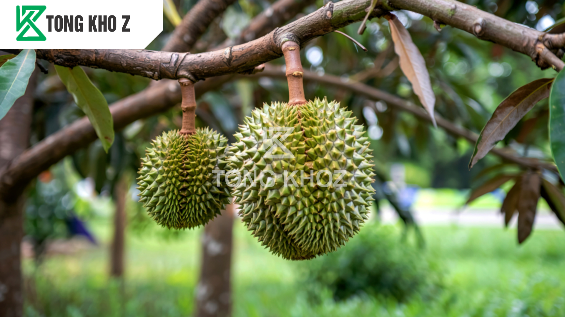 Câu hỏi thường gặp