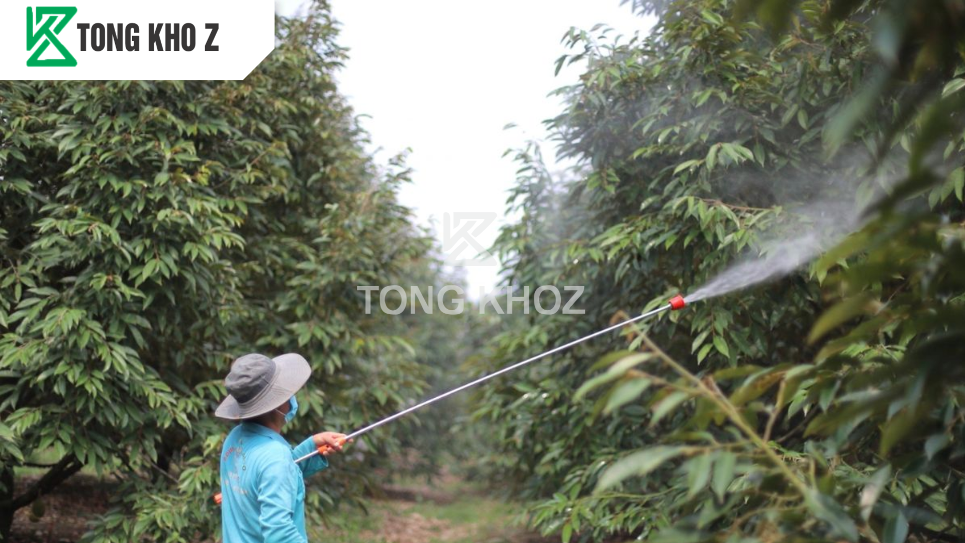 Hướng dẫn sử dụng trọn bộ giải pháp hữu cơ cho sầu riêng