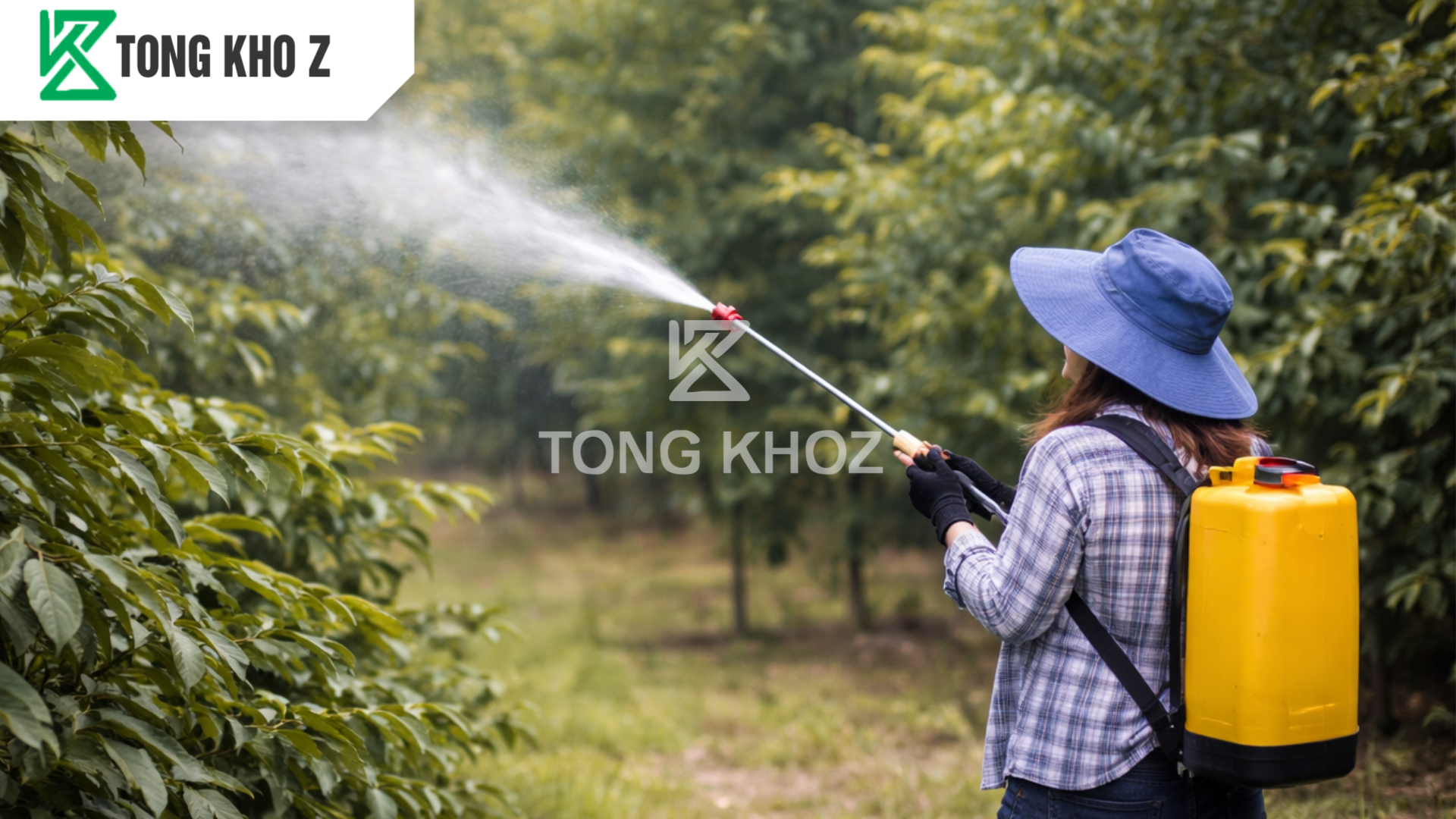 Khi nào cần dùng phân bón tăng đậu trái cho sầu riêng?