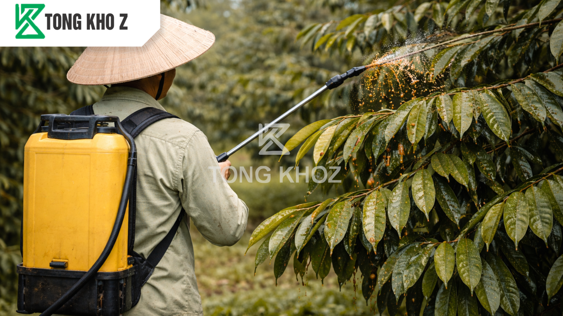 Khi nào sầu riêng cần dùng phân bón xanh lá?