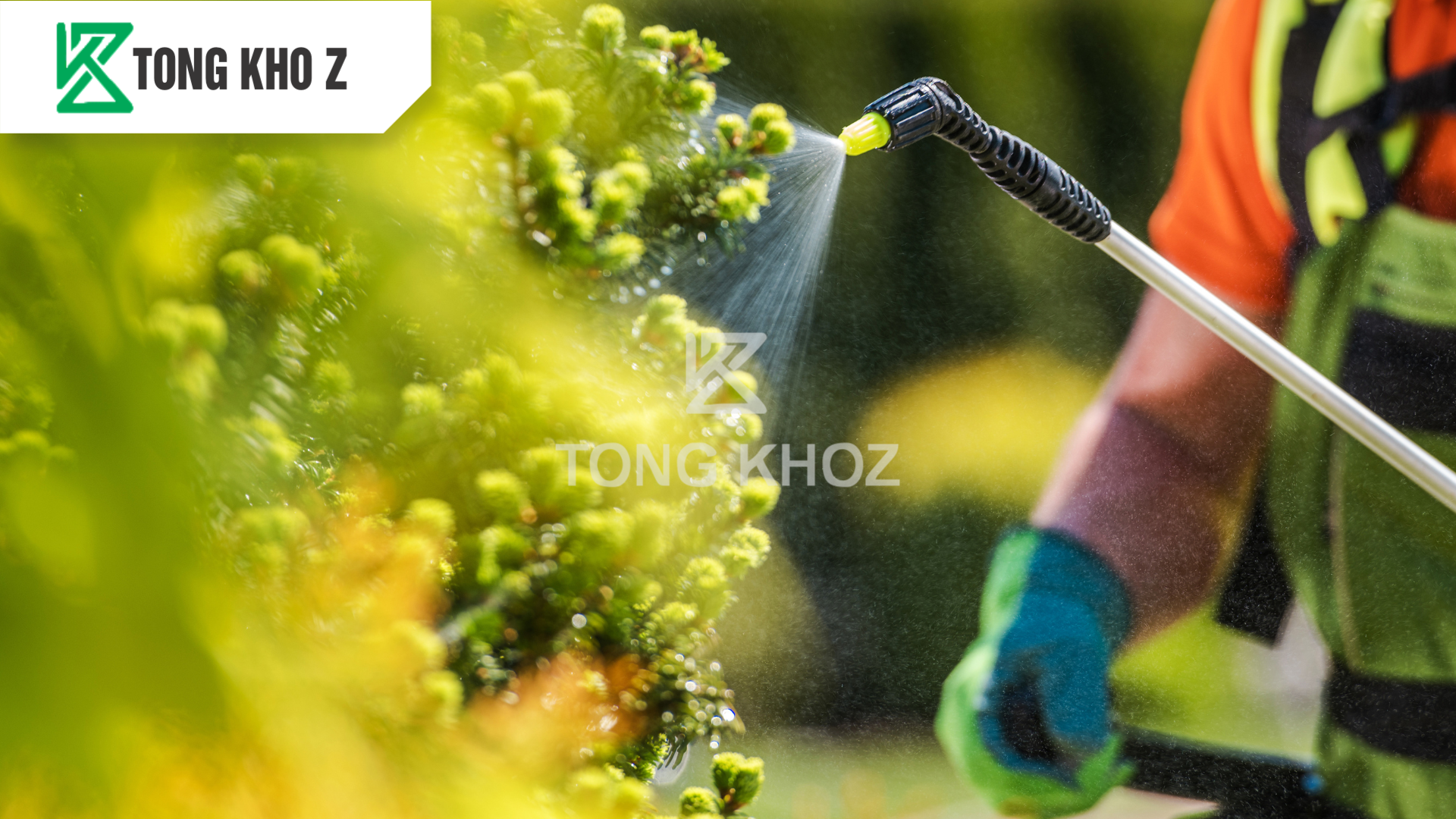 Nguyên tắc chọn phân bón bật chồi cho sầu riêng