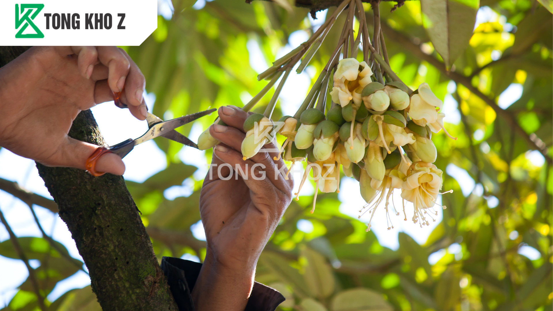 Câu hỏi thường gặp 