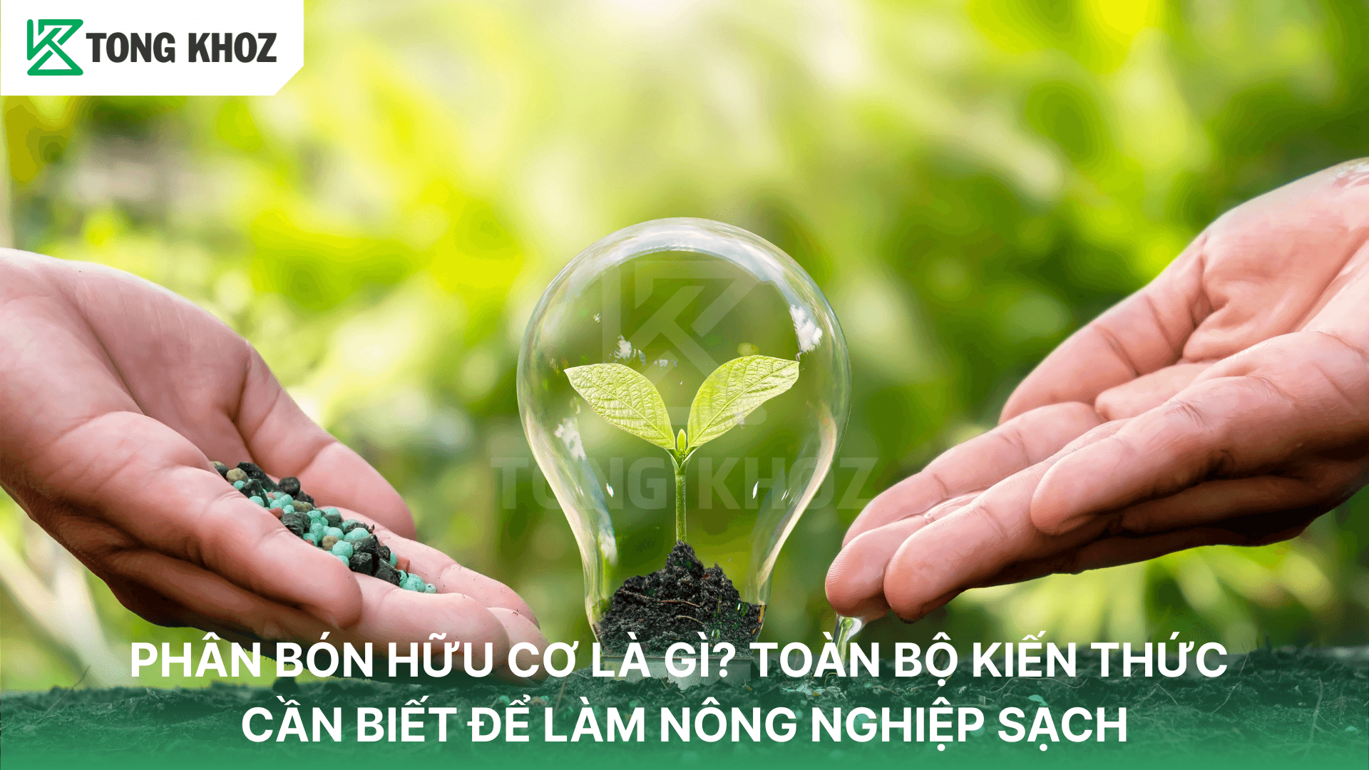 PHÂN BÓN HỮU CƠ LÀ GÌ? TOÀN BỘ KIẾN THỨC CẦN BIẾT ĐỂ LÀM NÔNG NGHIỆP SẠCH