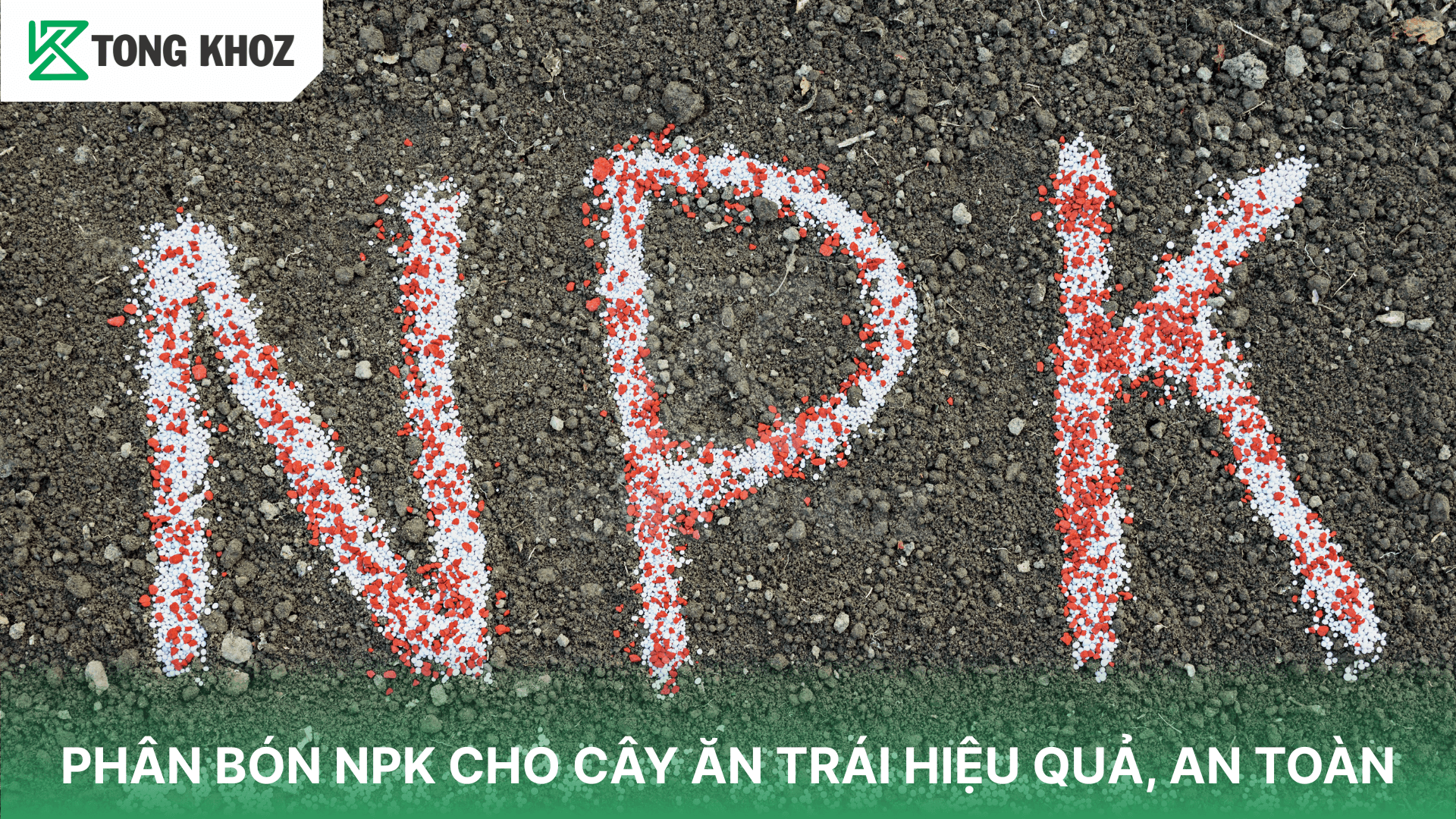 PHÂN BÓN NPK CHO CÂY ĂN TRÁI HIỆU QUẢ, AN TOÀN