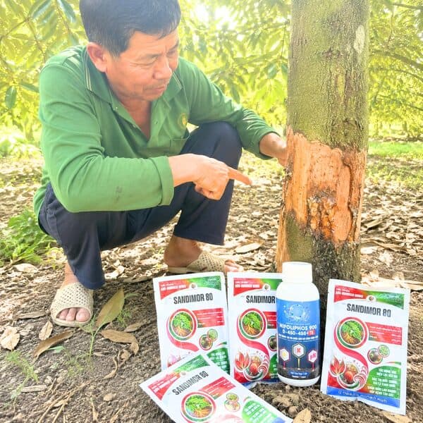 Nhà nông đồng hành cùng Tổng Kho Z