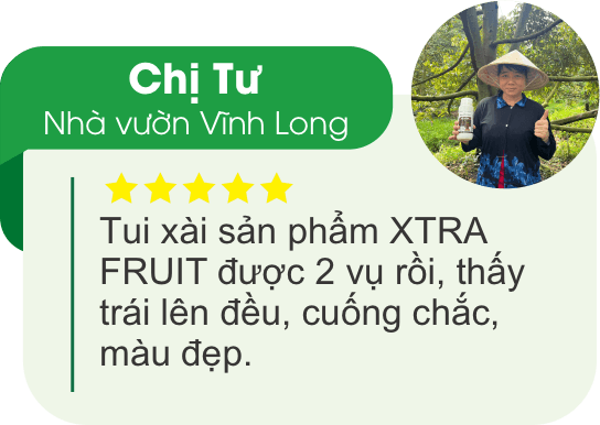Chị Tư