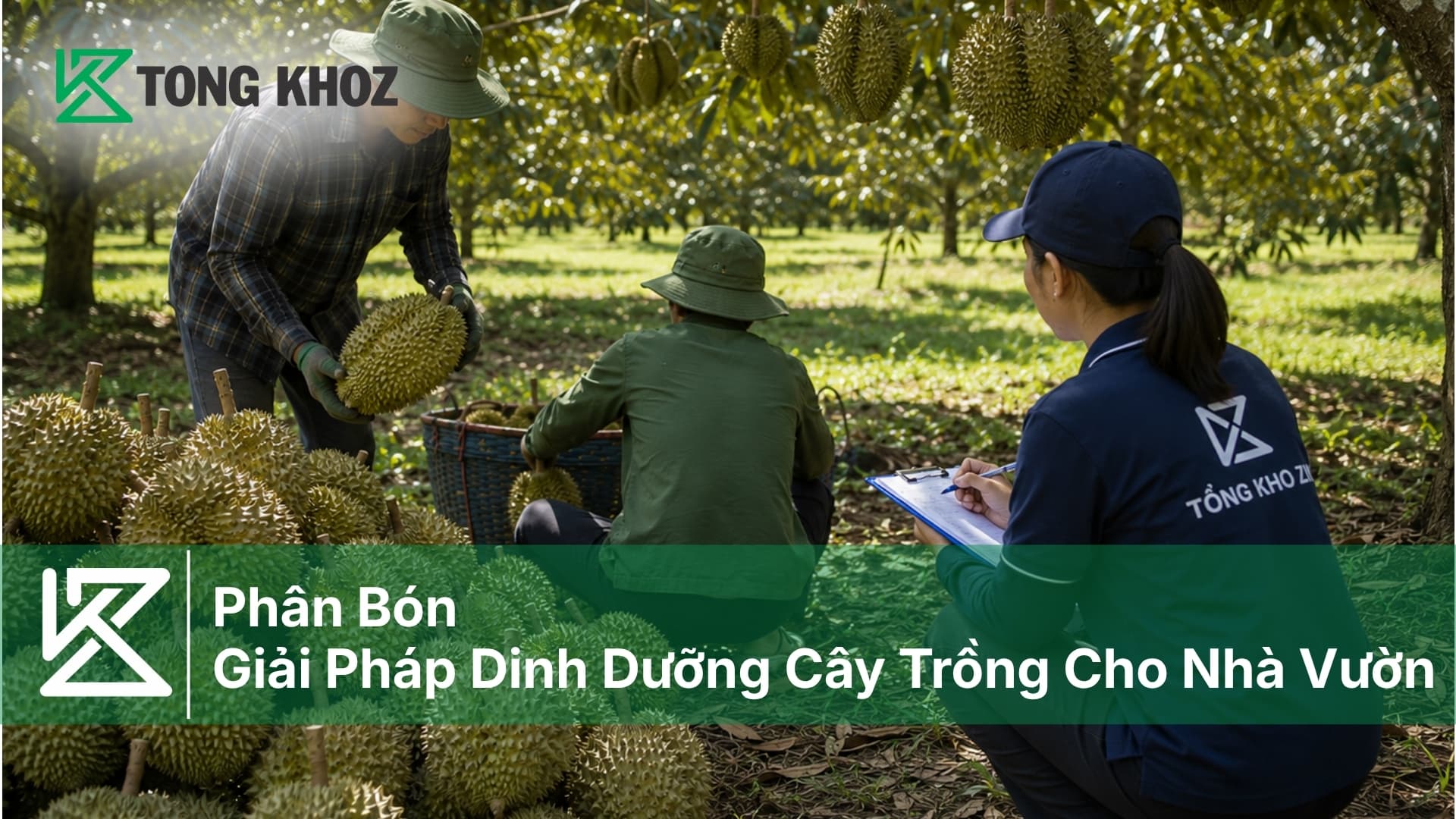 Phân Bón - Giải Pháp Dinh Dưỡng Cây Trồng
