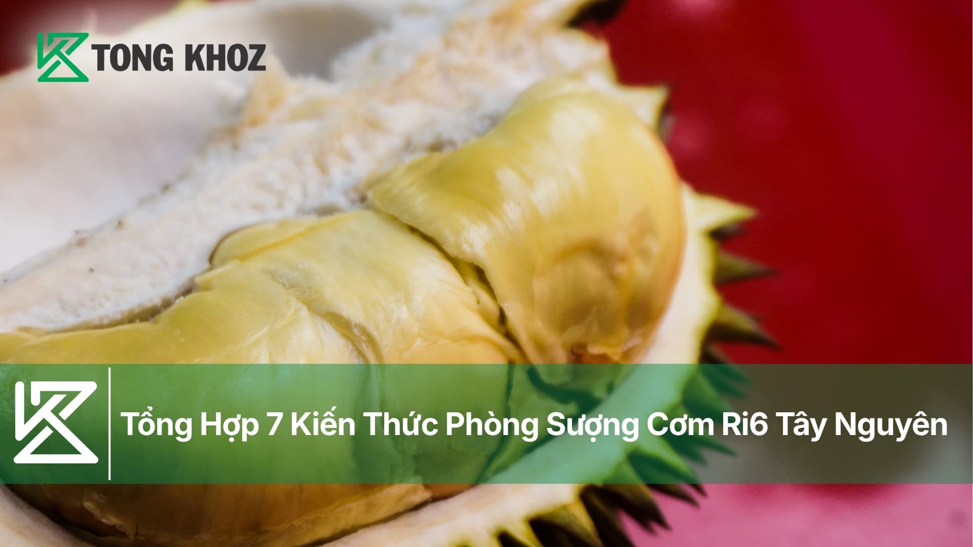 Tổng Hợp 7 Kiến Thức Phòng Sượng Cơm Ri6 Tây Nguyên