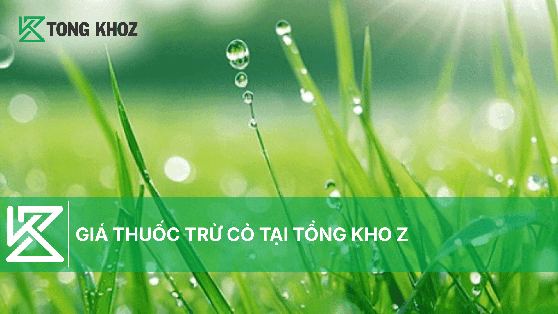 GIÁ THUỐC TRỪ CỎ TẠI TỔNG KHO Z