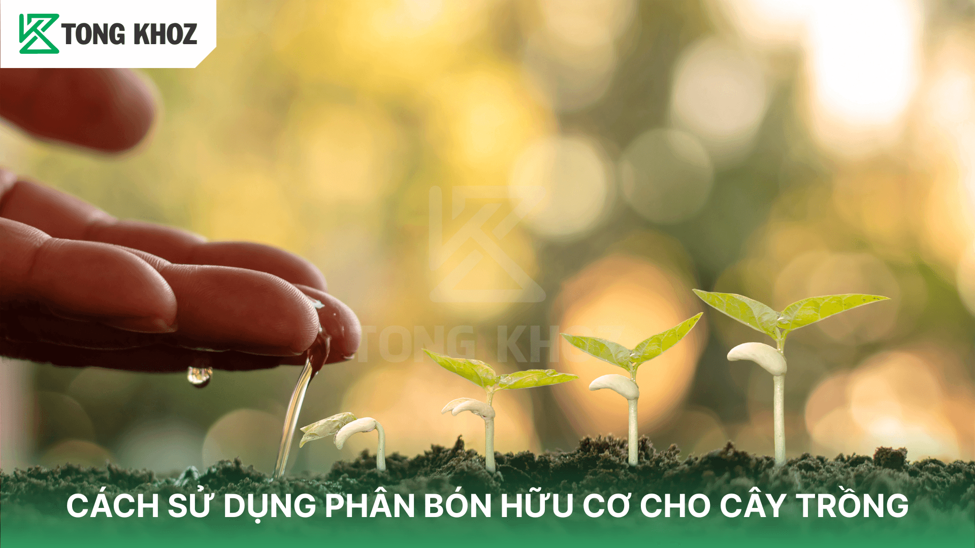 CÁCH SỬ DỤNG PHÂN BÓN HỮU CƠ CHO CÂY TRỒNG