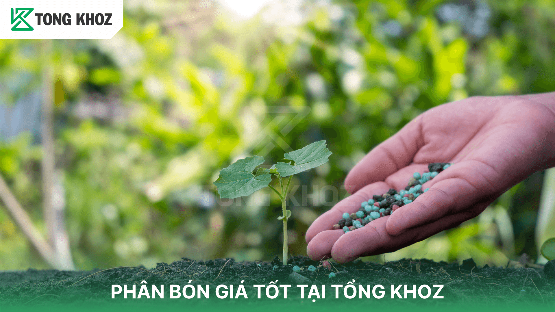 PHÂN BÓN GIÁ TỐT TẠI TỔNG KHOZ