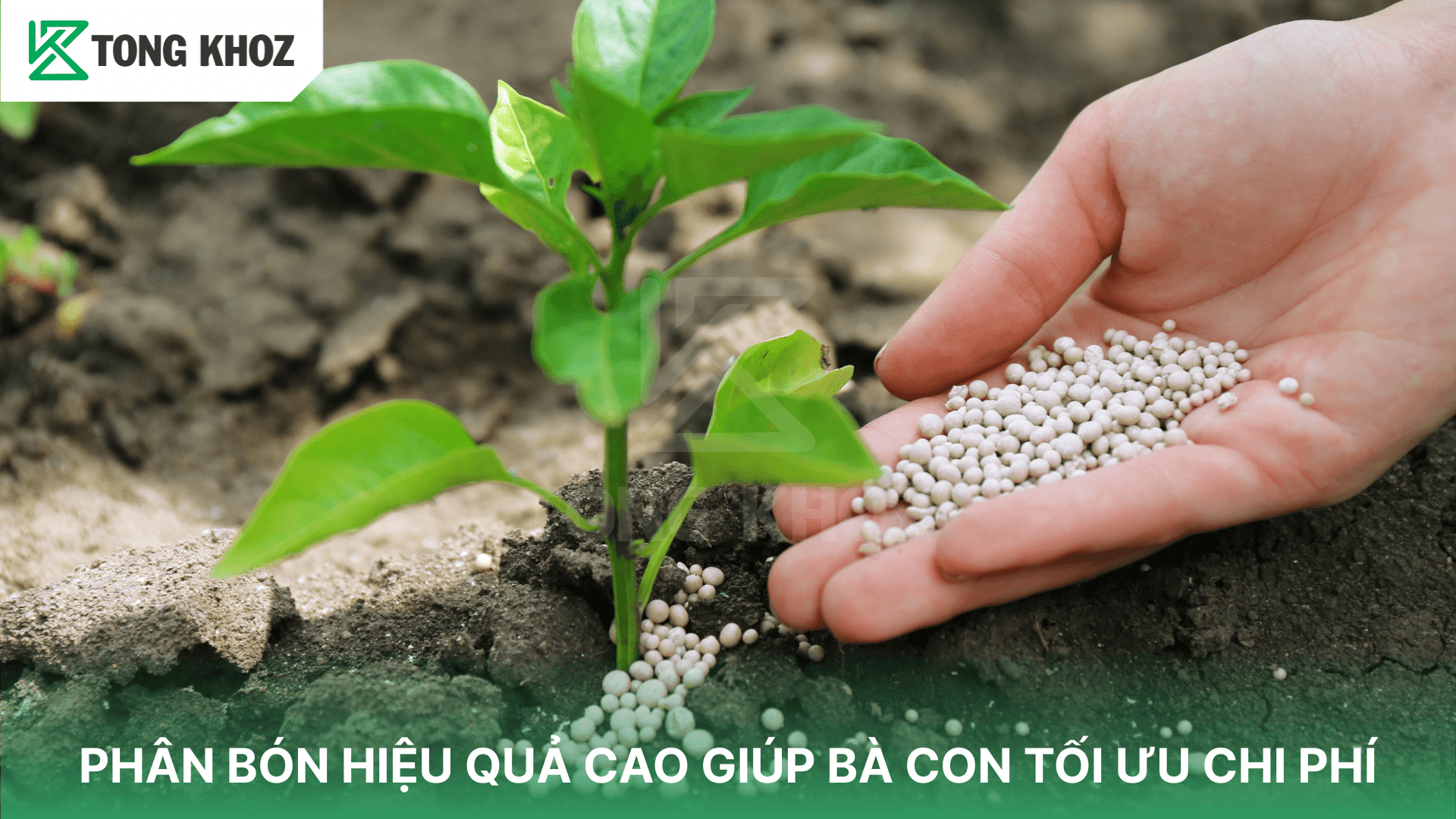 PHÂN BÓN HIỆU QUẢ CAO GIÚP BÀ CON TỐI ƯU CHI PHÍ