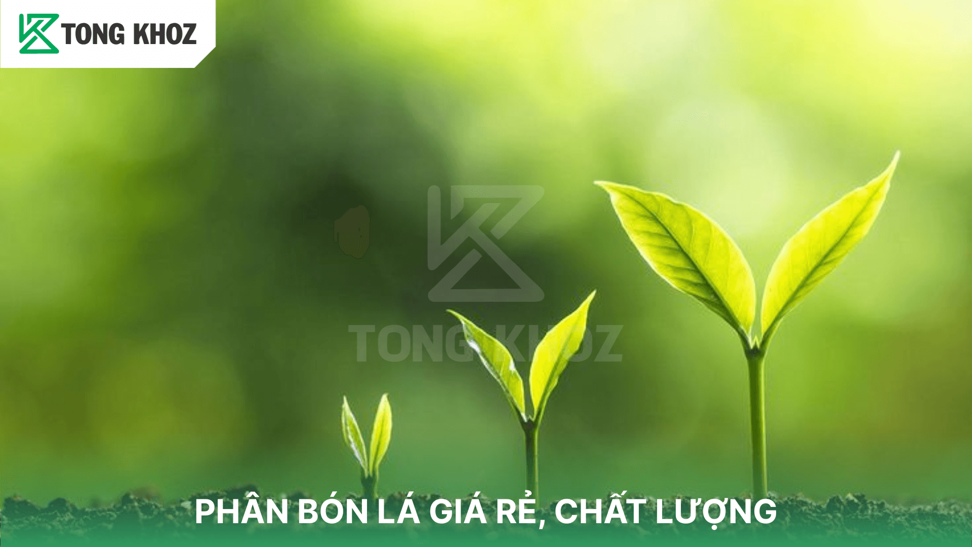 PHÂN BÓN LÁ GIÁ RẺ, CHẤT LƯỢNG