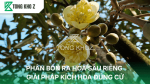 GIẢI PHÁP KÍCH HOA ĐÚNG CỬ