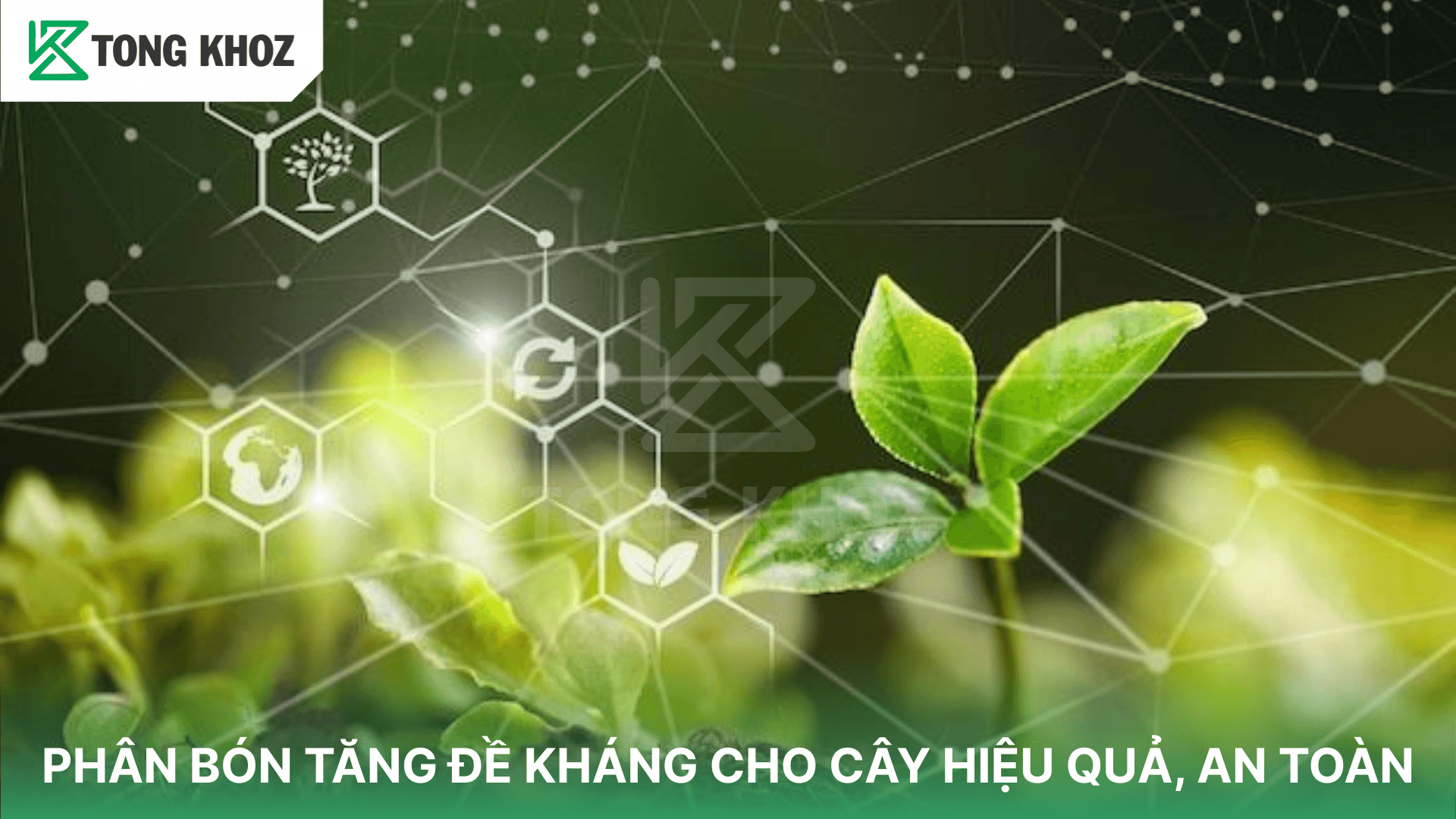 PHÂN BÓN TĂNG ĐỀ KHÁNG CHO CÂY HIỆU QUẢ, AN TOÀN