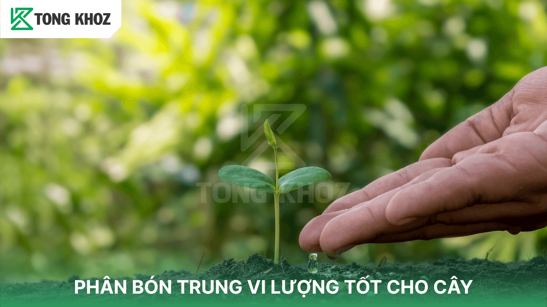 PHÂN BÓN TRUNG VI LƯỢNG TỐT CHO CÂY