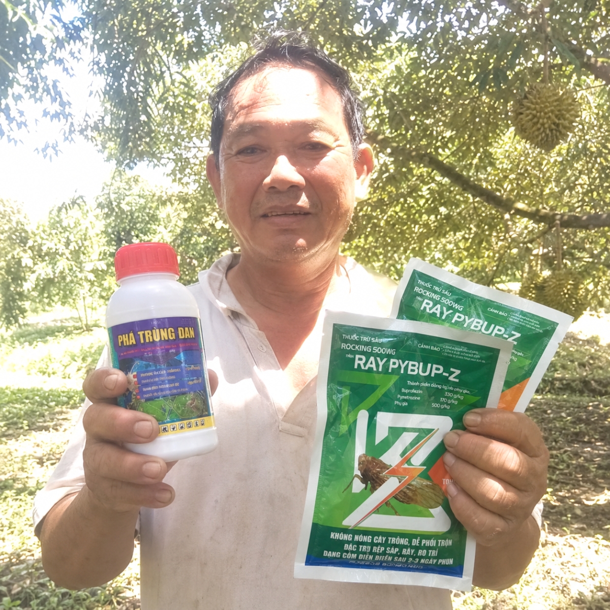 Nhà vườn sầu riêng dùng combo Phá Trùng Đan + Ray PyBup-Z trị rệp sáp – vỏ đen bồ hóng — Tổng Kho Z