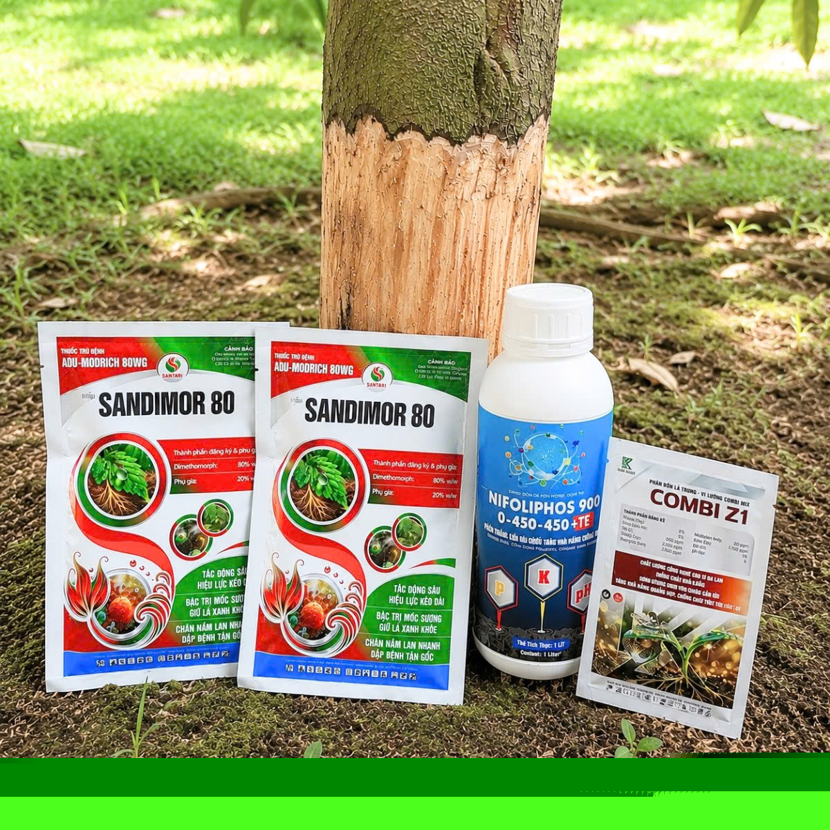 Combo Phòng Xì Mủ Sầu Riêng