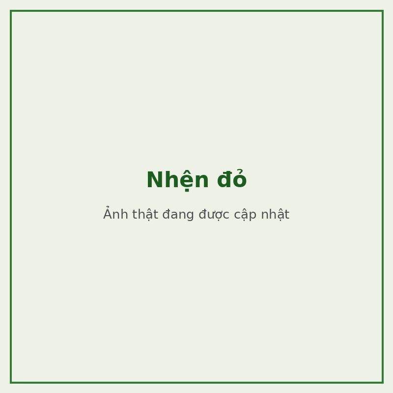 Nhện đỏ — đối tượng combo phòng trị