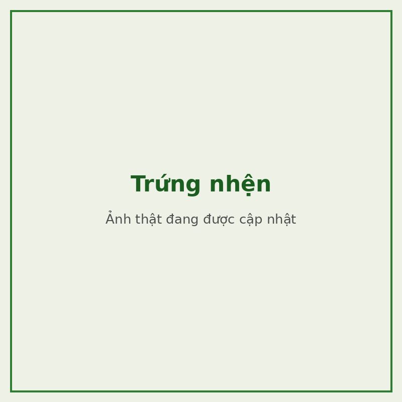 Trứng nhện — đối tượng combo phòng trị