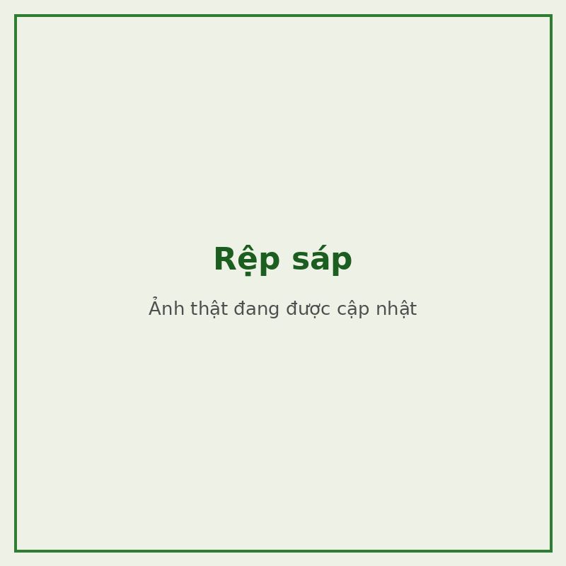 Rệp sáp — đối tượng combo phòng trị
