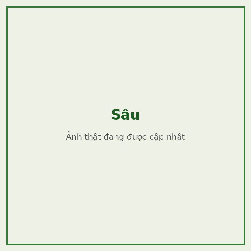 Sâu — đối tượng combo phòng trị