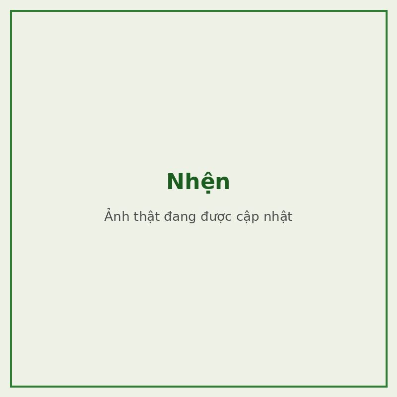 Nhện — đối tượng combo phòng trị