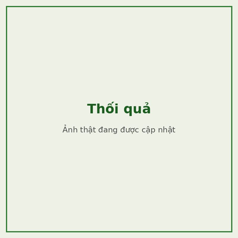 Thối quả — đối tượng combo phòng trị