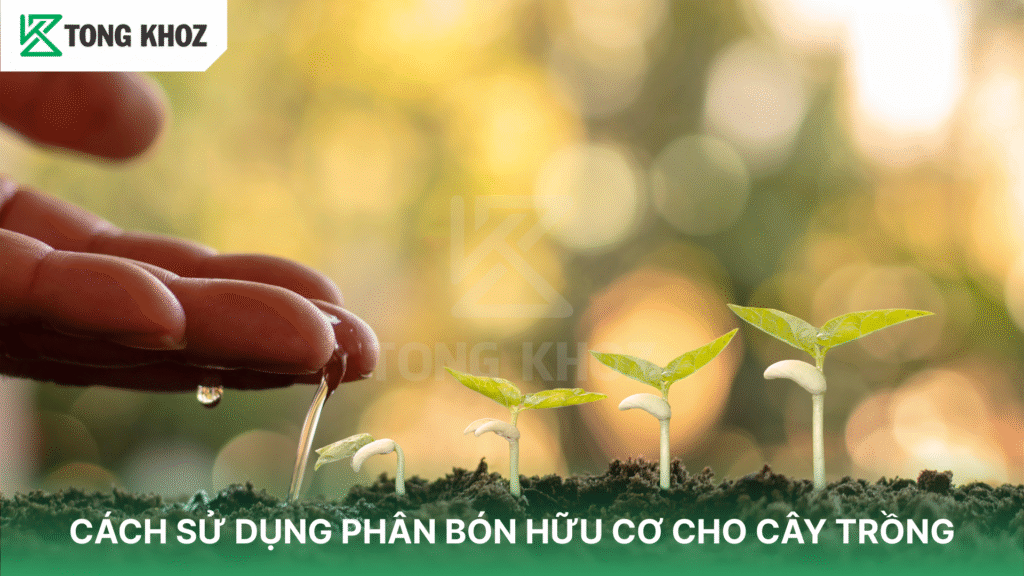 Cách sử dụng phân bón hữu cơ