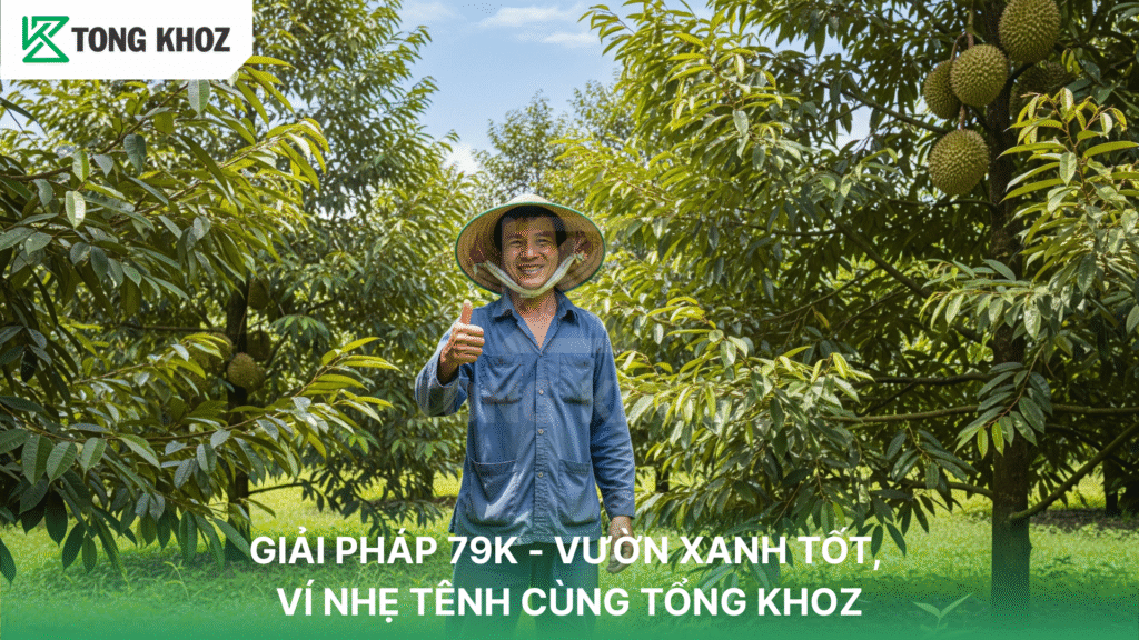 Giải pháp 79k