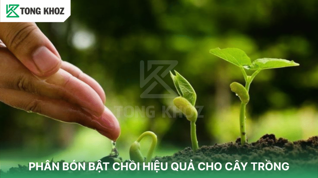 Phân bón bật chồi