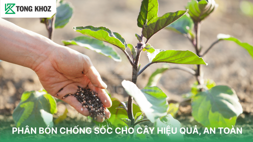 Phân bón chống sốc