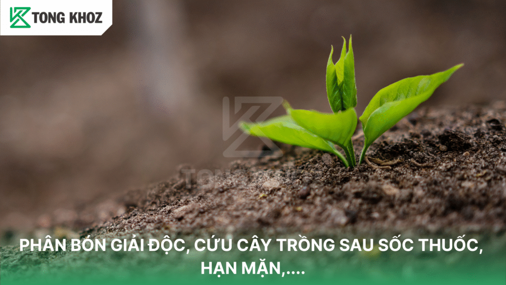 Phân bón giải độc
