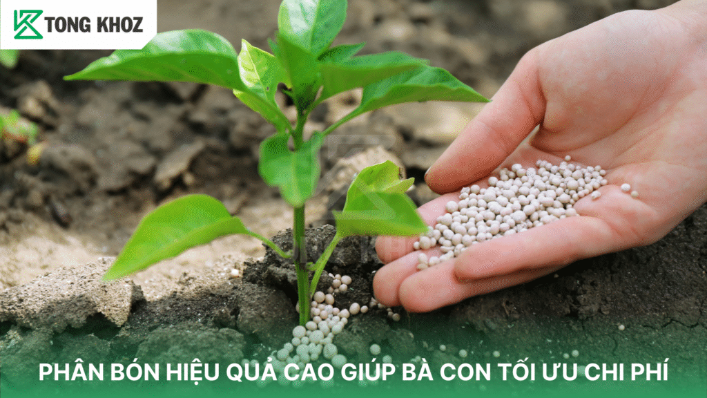 Phân bón hiệu quả cao