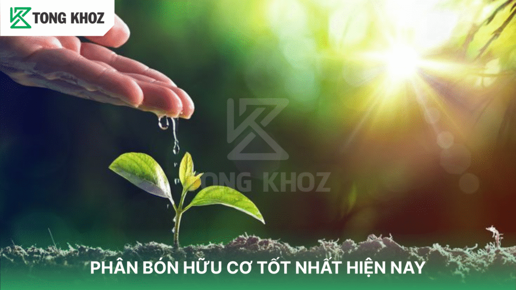 Phân bón hữu cơ tốt nhất hiện nay