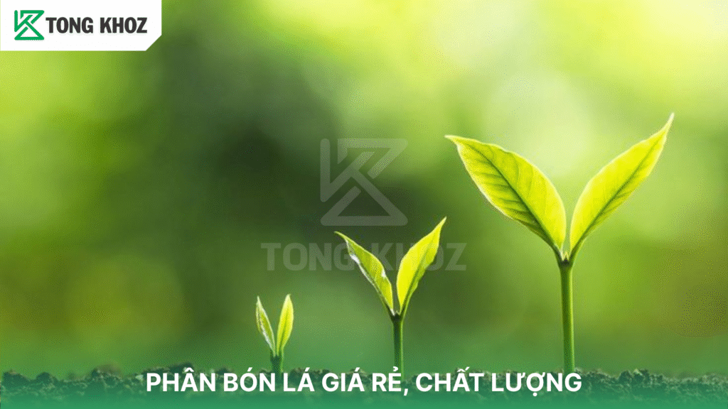 Phân bón lá giá rẻ