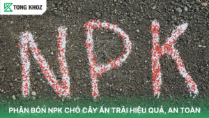 Phân bón NPK